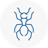 Ant Removals In Berkshire