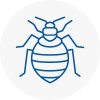 Bed Bug Extermination In Berkshire