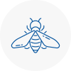 Bee Nest Removal Berkshire