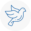 Bird Prevention Berkshire