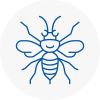 Berkshire Hornet Nest Removals