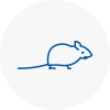 Mice Exterminators In Berkshire