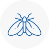 Moth Control Specialists In Berkshire