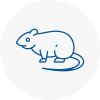 Rat Control Berkshire