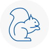 Berkshire Rodent Removals