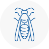 Berkshire Wasp Nest Removal